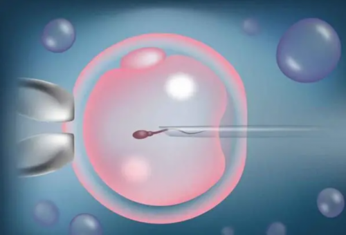 什么地方供卵靠谱_供卵助孕成功率,万宁能做供卵试管的医院排名？附供卵医院