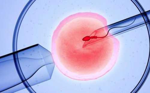 供卵可以自己找吗_有供卵中心吗,东营供卵三代骗局过程（医羽供卵骗局）