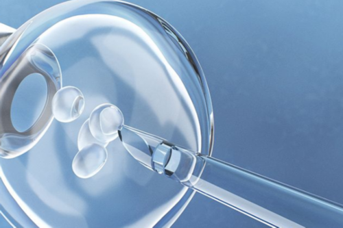 供卵自怀孩子像谁_正规供卵医院,新乡供卵试管包男孩零风险（北京试管供卵公