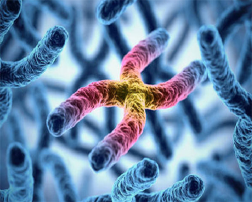 济南三代供卵中心,盐城有几家做试管婴儿的医院? 还有成功率、费用都在这_医