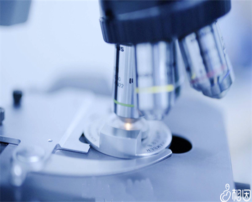 世纪助孕生殖中心_上海世纪助孕公司靠谱吗,重庆供卵代生双胞胎机构 2026年重