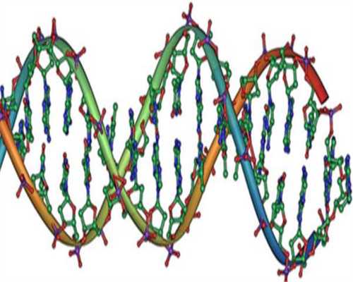 供卵自怀总不着床_供卵哪家靠谱,山大生殖医院供卵试管(山大生殖供卵怎么登记