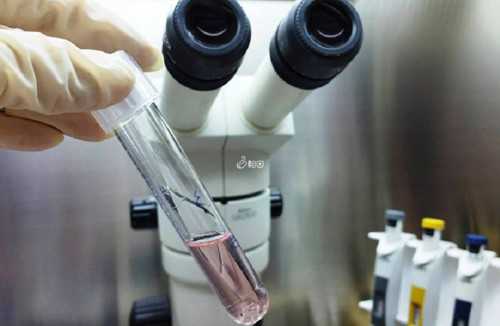 济南代怀孕包男孩,疑难性不孕育美国试管婴儿详解_生男生女有讲究吗_吉林省二