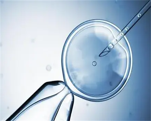 地下供卵试管区别_有供卵试管医院,2026年做供卵试管婴儿的费用(抚州2026年供卵