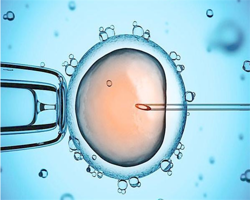 在三代供卵自孕_国内供卵有哪些,【北京的供卵机构或专业供卵公司】37周，提