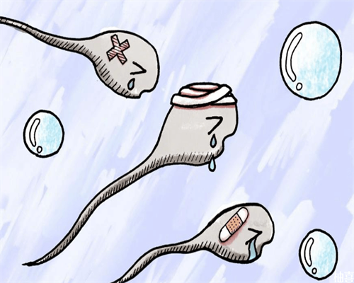 济南哪家医院代孕,少精，想做试管婴儿，请问青岛妇幼和济南省立比哪个好？