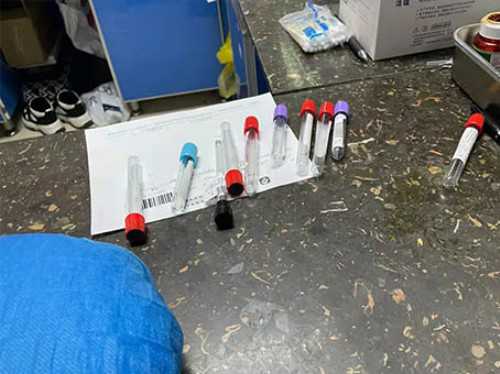 供卵自怀孩子像谁_正规供卵医院,贵港供卵试管婴儿,供卵试管婴儿好找么