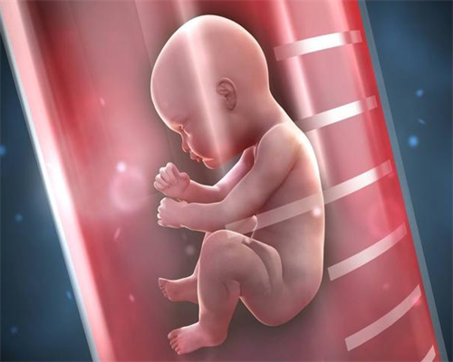 济南私人代怀公司,济南三代试管包生男孩价格需要多少钱？费用8万够吗?_试管