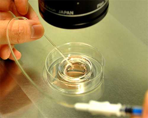 青岛供卵试管医院在哪里,青岛公立医院有做供卵试管吗？