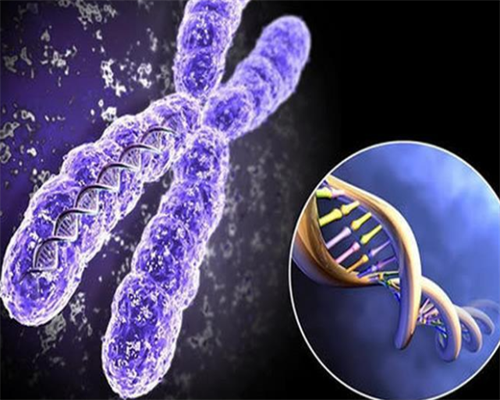 高龄供卵成功率_正规供卵费多少钱,保定供卵试管婴儿医院排名