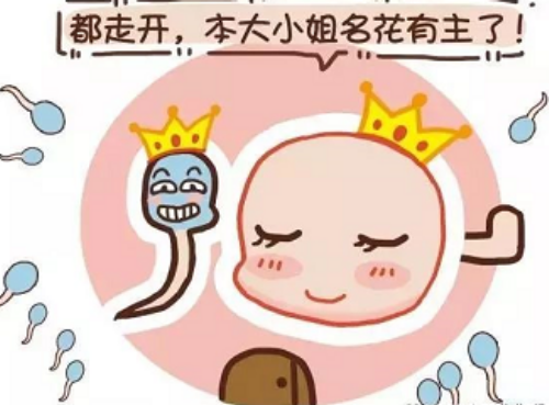 济南借卵自怀流程,济南不孕不育医院排名？济南试管去哪做？