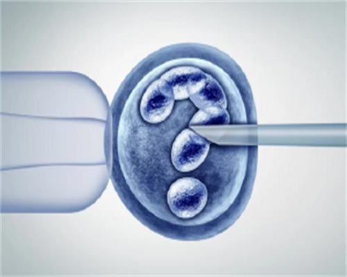 济南供卵助孕经验,[试管一次能放几个胚胎]解析少精还能怀孕吗-河北港大妇产