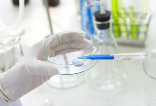 金贝供卵官网_供卵助孕医院,扬州三代试管供卵机构排名