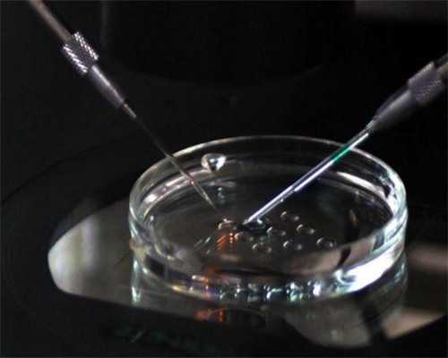 二代试管不一定生女孩！揭开试管婴儿的神秘面纱！