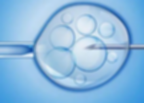 女性健康食谱一周做法大全