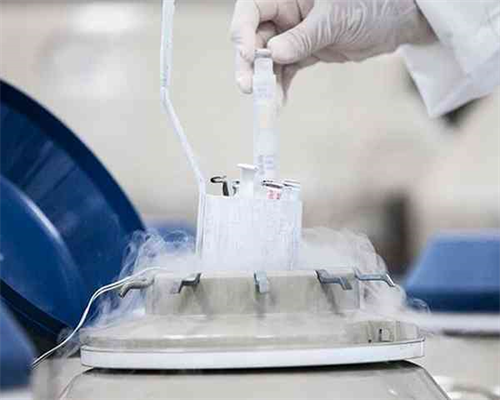 想要健康好孕 这4个备孕工作要做好