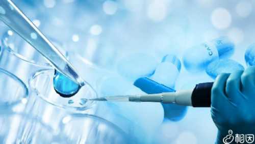 供卵助孕包成功_供卵试管成功,【供卵试管群有人知道吗？供卵申请去哪里】卵