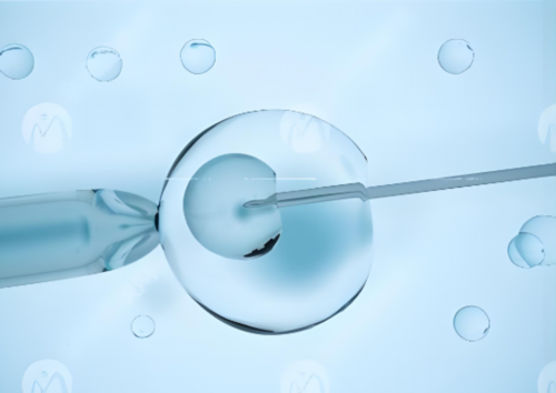 济南高龄供卵风险,「44岁的女人还能正常怀孕吗」济南试管婴儿哪个好？如何选