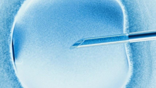 试管借腹生子供卵_有医院提供供卵吗,河南三代试管供卵生男孩医院目录附202