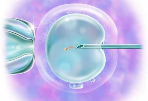 济南第一代怀网,精彩纷呈的北京夏令营军事训练，费用实惠，培养孩子优秀品