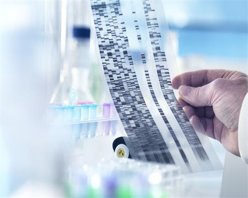 女性健康与生命的关系