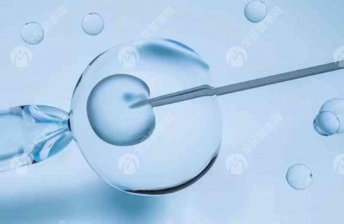 青岛借腹怀胎合法吗, 青岛供卵试管机构的合法性