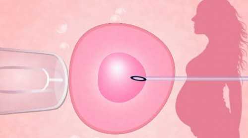青岛代怀试管要多少钱,青岛试管供卵代怀孕机构的现状