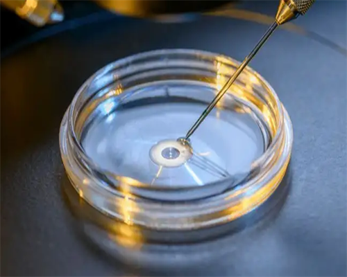 泰国地下供卵_二代供卵试管,湘潭做供卵试管的医院有哪些，湘潭做三代供卵的