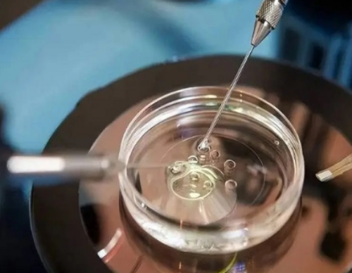 济南试管在线咨询,一胎试管二胎可以自然怀孕吗？怎么提高自然怀孕几率？_试