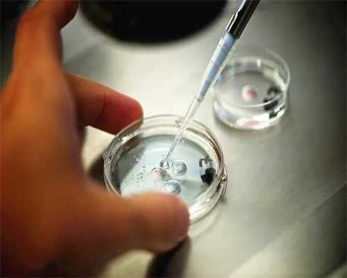 三句话揭秘婆媳关系修复，打造和谐幸福家庭