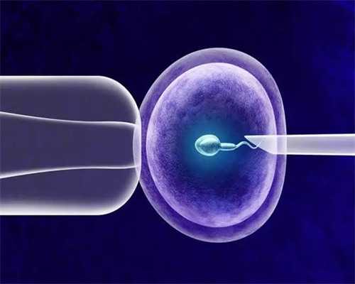 合法供卵_医院供卵成功,常德哪里做供卵试管