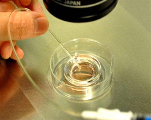 济南供卵中心,天津三代试管包生男孩医院排名，附供卵助孕费用参考！_移植前