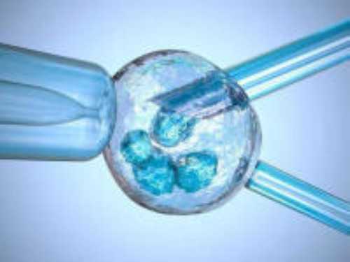 孕早期吃什么缓解孕吐_孕早期吃橙子