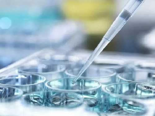 济南找代孕公司,单角子宫试管成功率高吗？有一次成功的姐妹吗？_试管移植后