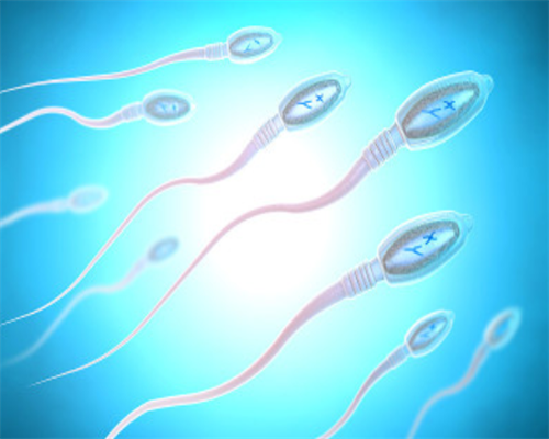 济南代孕公司包男孩,2026北京协和医院供卵试管多少钱？附北京供卵试管费用一