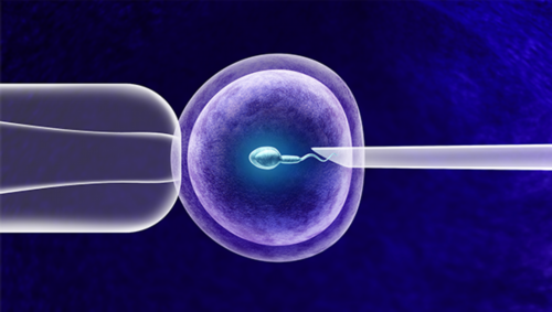 供卵顺利生下宝宝_供卵中介价格,2026西藏供卵试管婴儿医院排名，附供卵三代试