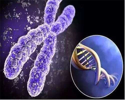 供卵什么价格_可以试管供卵,2026
年安徽省能做供卵试管生子医院有几家附三代