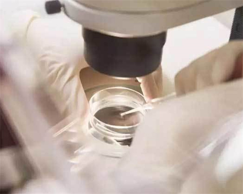 济南代孕公司可靠么,泰国第三代试管婴儿拥有成功率高费用低等优势_怀孕变胖