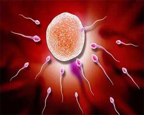 试管供卵多钱_有供卵机构吗,北京供卵捐卵试管男孩套餐_为什么供卵试管生子价