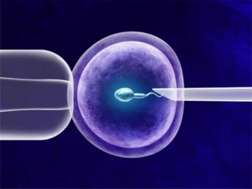 济南人工受孕费用在多少,济南2026供卵生男孩费用明细一览：济南公立医院供卵