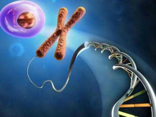 地下供卵试管_哪个医院供卵,【洛阳供卵机构 安阳供卵试管】备孕了三年，终于