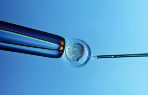 济南代孕产子套餐,美国试管婴儿：一起GAY吧｜同志第三方助孕手册-朝阳医院西