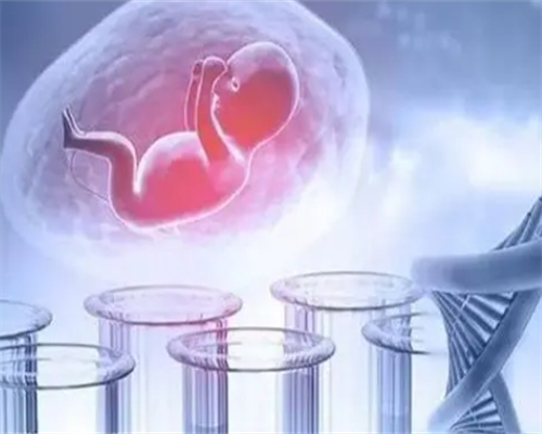 济南代孕管网,试管婴儿养囊是什么意思？成功率高吗?_西安能做供卵吗_多囊卵