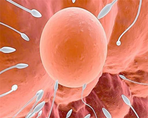 韩版冬季0-1岁宝宝衣服的选择和搭配指南