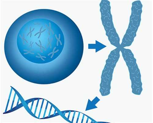 济南高龄女性借卵,子宫后位做试管婴儿有影响吗？_试管移植后可以吃蒜苔炒肉
